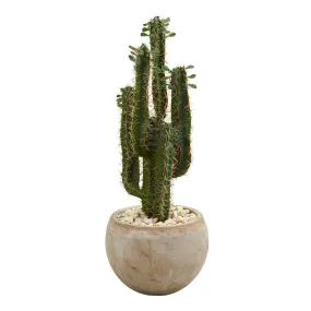 2.5' Artificial Cactus in Bowl Planter - Low Maintenance, Life-Like & Vibrant Silk Plants For Busy People.