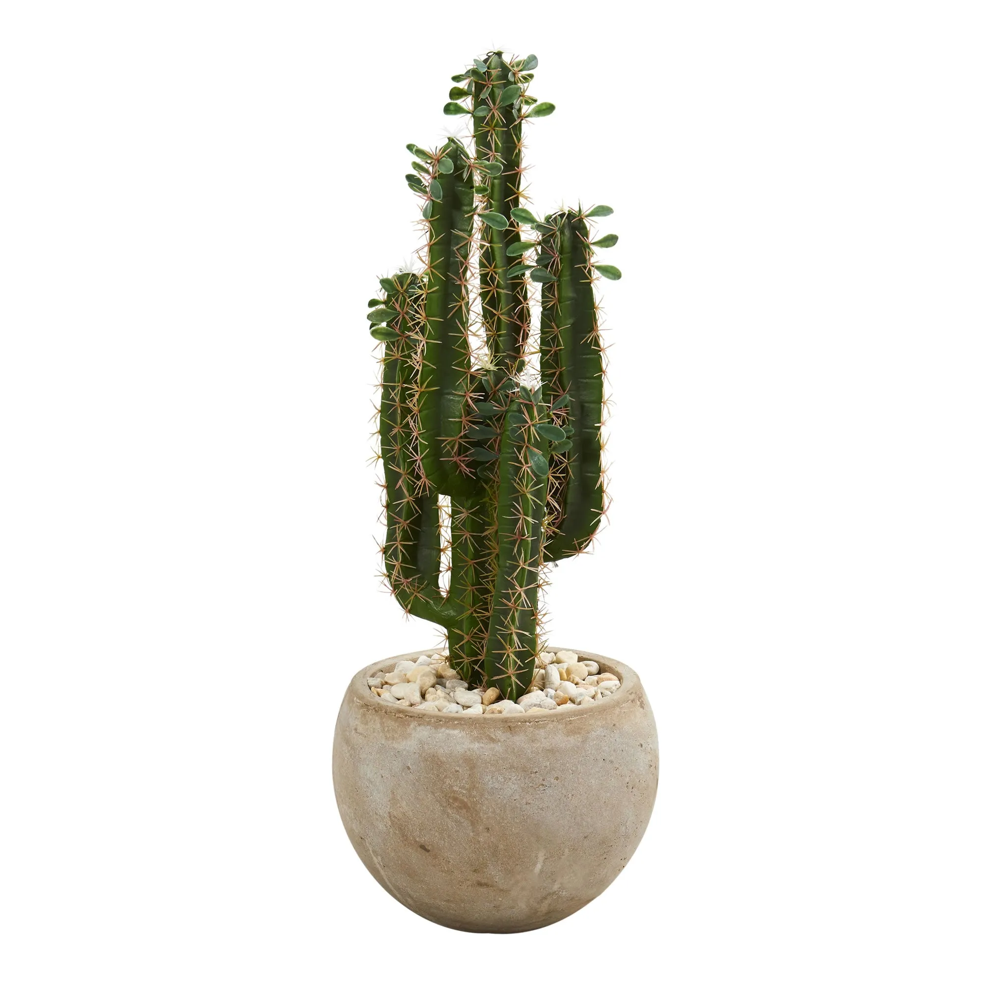2.5' Artificial Cactus in Bowl Planter - Low Maintenance, Life-Like & Vibrant Silk Plants For Busy People.