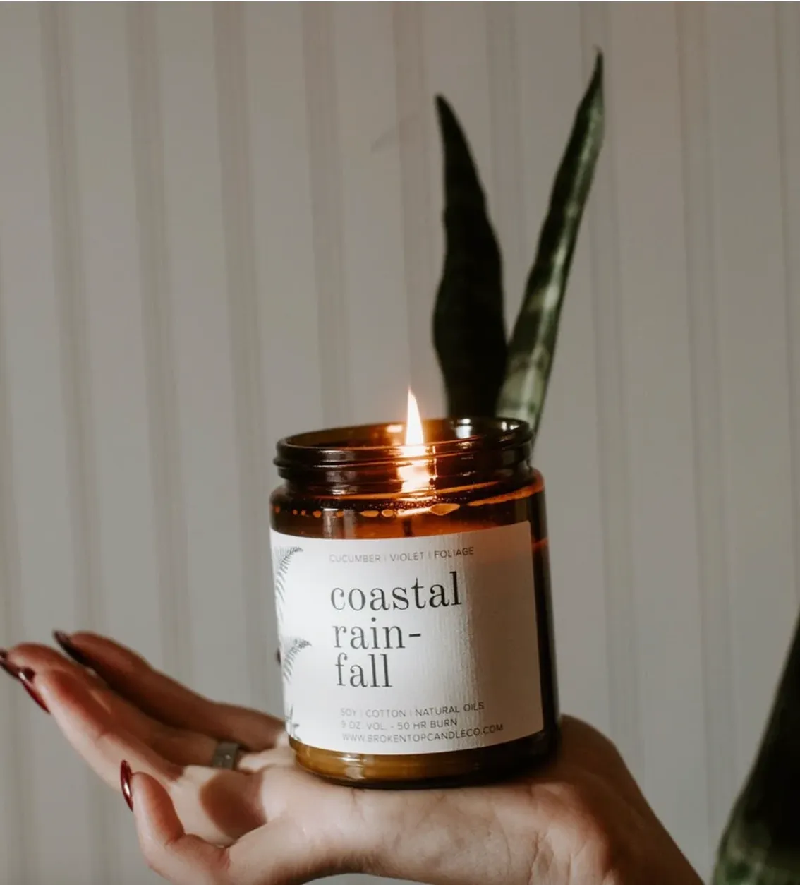 Broken Top Candles