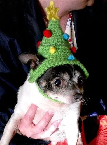 Crochet Christmas Tree Hat